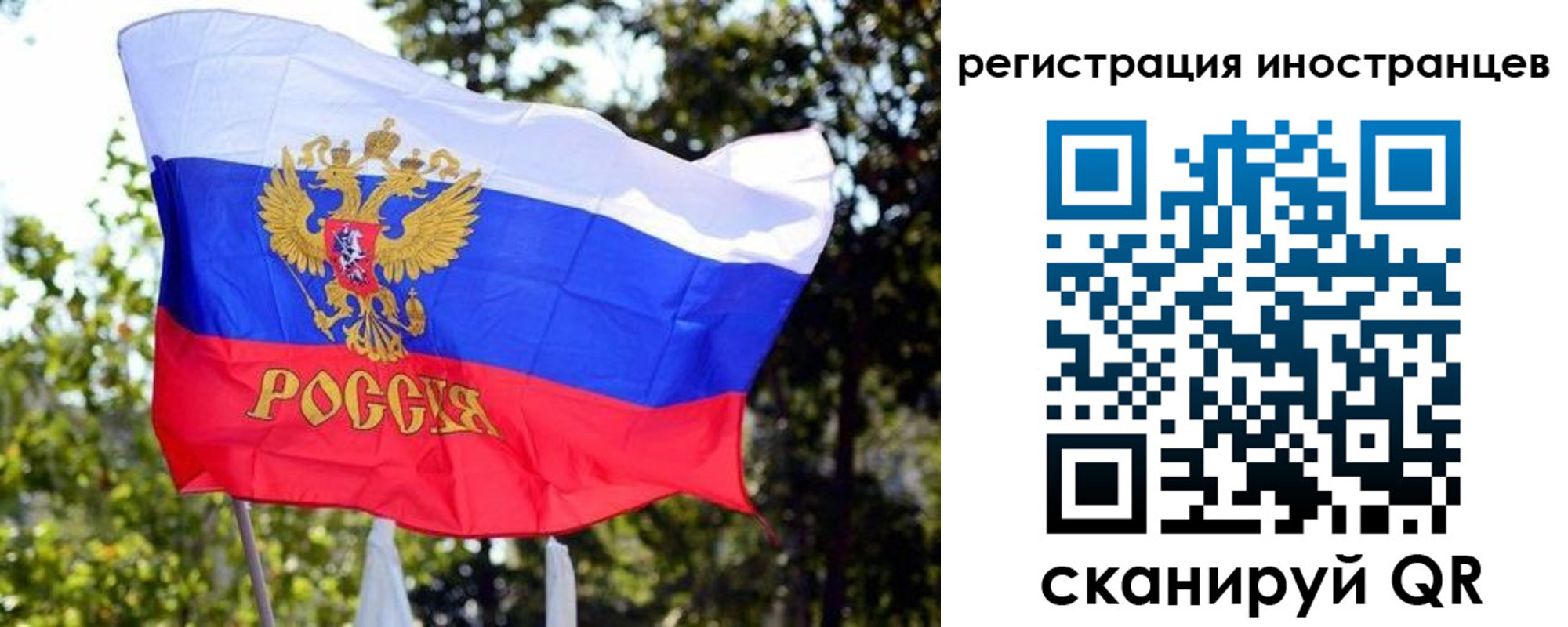 временная регистрация недорого в Лесном